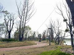-临平南高铁站(地铁站)