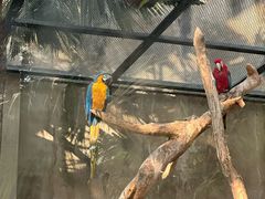 -大连森林动物园