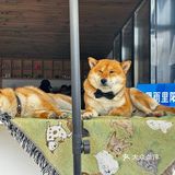清晨，走了环海东路前往机场，离开大理