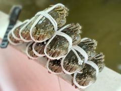 -小陆莲花蟹园农家乐(莲花岛店)