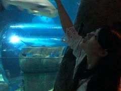-暹罗海洋世界