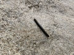 -碓臼峪自然风景区