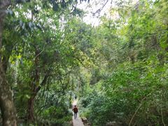 景点-普者黑风景区-青龙山