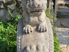 -悠然山高山湿地景区悠然自得庭