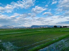 -喜林苑·稻田餐厅(品相府店)