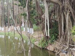 -珠海圆明新园