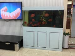 -中科领军口腔