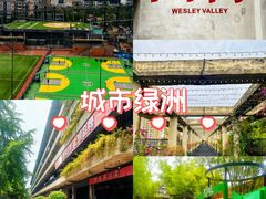 -生如夏花泰式火锅(西村黑金店)