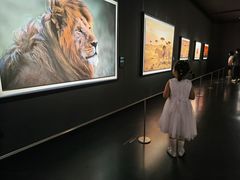 -罗红摄影艺术馆