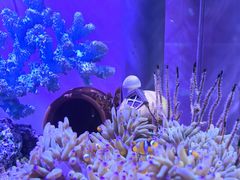 -欢乐海岸海洋奇梦馆