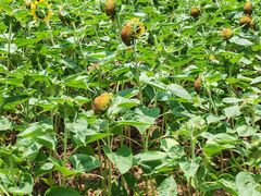 -新竹里馆·花园餐厅(兴苑路店)