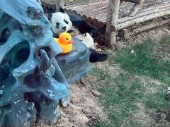 -大连森林动物园