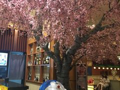 -大江户·温泉洗浴(浑南店)