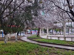-宝鸡文理学院（石鼓校区））