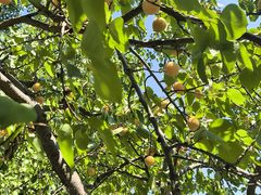 -西部长青自然儿童乐园