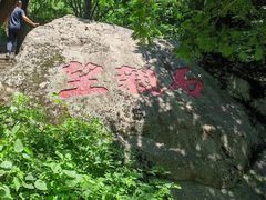 -王顺山国家森林公园
