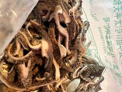 -洪记白水羊头(天坛店)