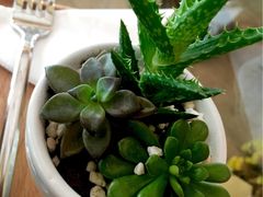 -西关84·History·Art·Cafe