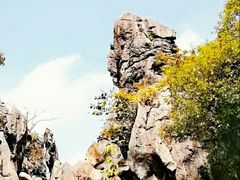 -千岛湖石林