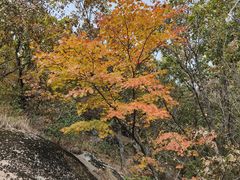 -丹东凤凰山景区