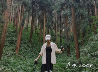 一周一山｜彭州中坝森林
