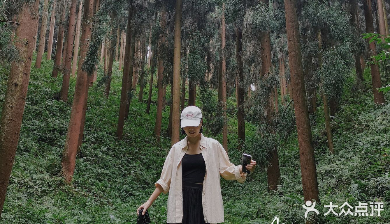 一周一山|彭州中坝森林