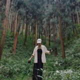 一周一山|彭州中坝森林