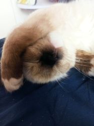 -盘子女人坊古装摄影(万达店)