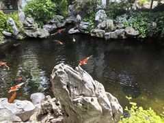 -鲤院·新中式美学·庭院餐厅(夫子庙店)