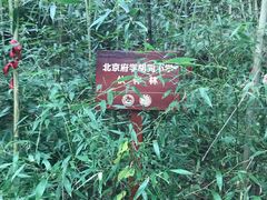 -都江堰中华大熊猫苑