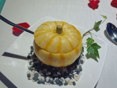 -梧桐