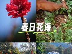 -桃花涧