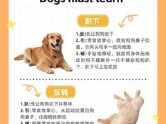 -宠物寄养训练学校