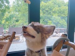 -J Create城市露营咖啡·简餐·宠物(上海动物园店)