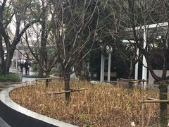 -兰溪青年公园