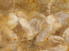 -盛宴标帜餐厅·亲子自助 (南昌喜来登酒店)