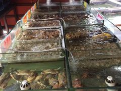 -岛中岛·海鲜大排档·万宁老字号(东澳店)