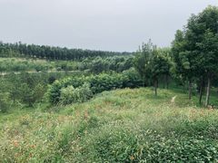 -东郊湿地公园
