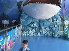 -多彩贵州城极地海洋世界