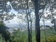 -阳台山森林公园