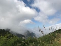 -东白山