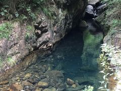 -大奇山国家森林公园