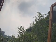 -终南山丹青茶宿