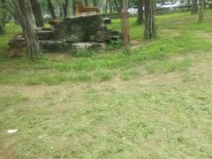 -秦皇岛野生动物园