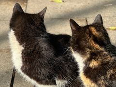 -云龙山
