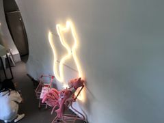-有猫主题·治愈系猫咖(曾厝垵店)
