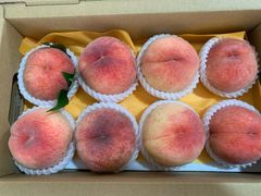 -老袁家蜜桃农场·阳山水蜜桃