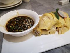 -老绍兴养和饭店(向阳不夜城店)
