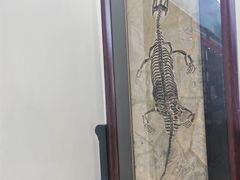 -中国第四纪冰川遗迹陈列馆