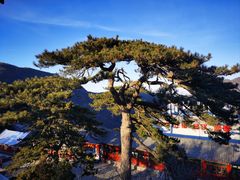 -妙峰山风景名胜区